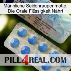 Männliche Seidenraupenmotte, Die Orale Flüssigkeit Nährt 39